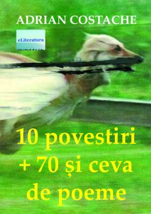 10 povestiri + 70 și ceva de poeme