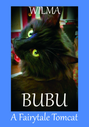 Bubu: a Fairytale Tomcat