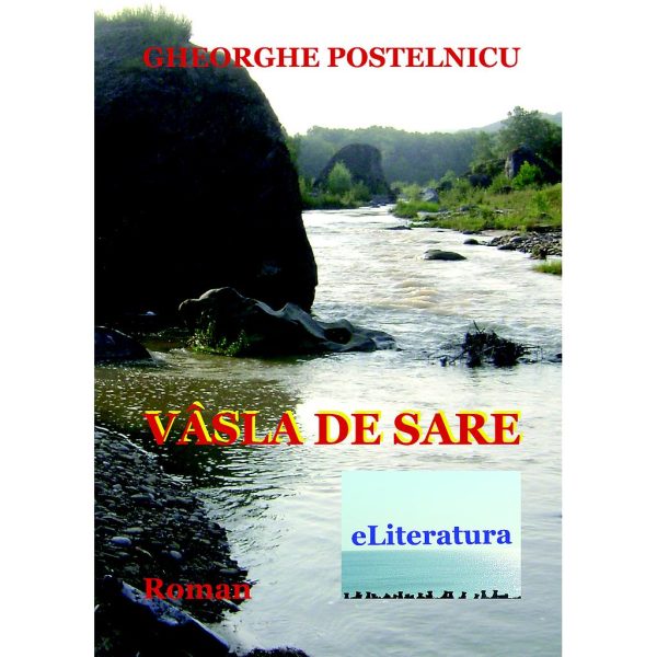 Gheorghe Postelnicu - Vâsla de sare - [978-606-700-643-8]
